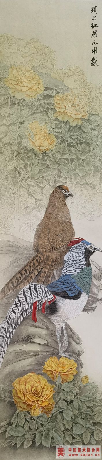 ������Ʒ